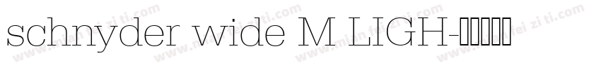schnyder wide M LIGH字体转换